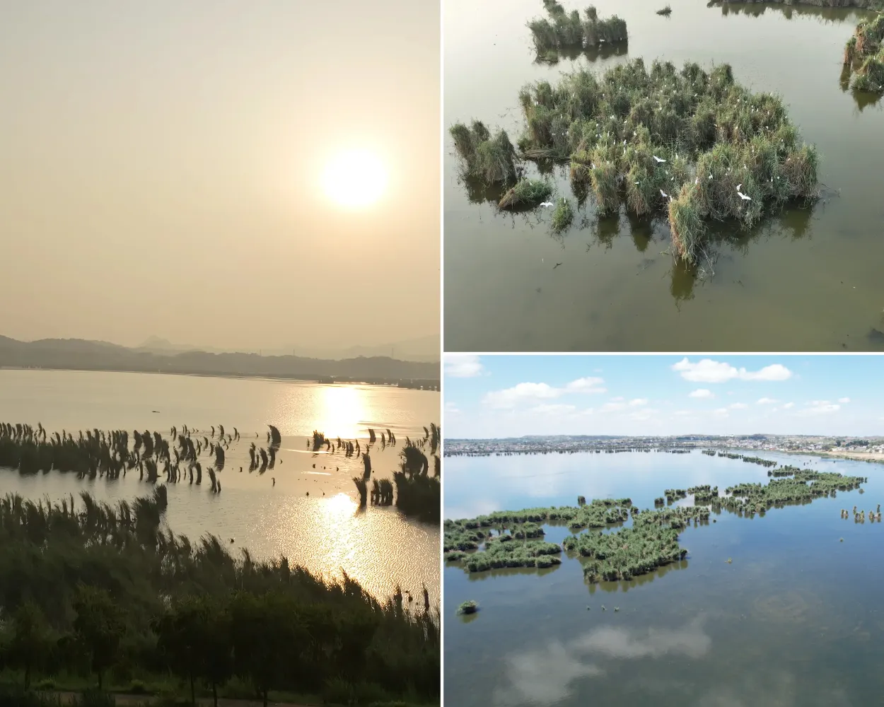 Get Involved: How You Can Support Wetland Conservation